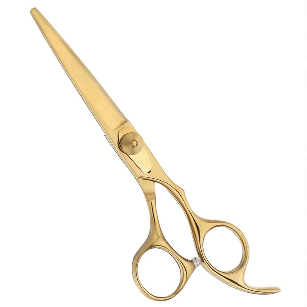 WhatsApp Image 2025-04-09 at 5.11.06 PM WhatsApp Image 2025-04-09 at 5.11.06 PM