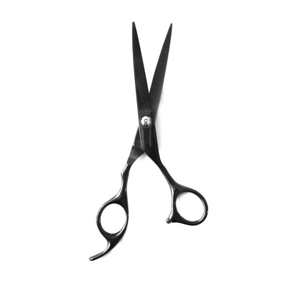 WhatsApp Image 2025-04-09 at 5.11.13 PM WhatsApp Image 2025-04-09 at 5.11.13 PM